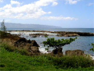 Shark's Cove, North Shore, Oahu